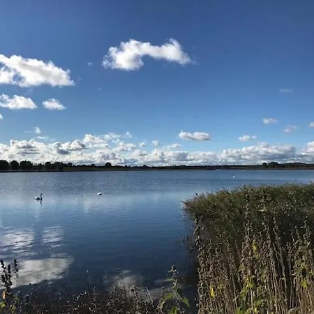 Wiesenkate * הוווכט