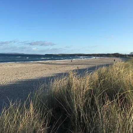 Wiesenkate * הוווכט