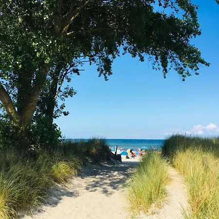 Wiesenkate הוווכט