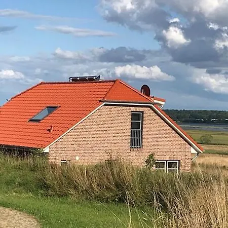 Wiesenkate * הוווכט